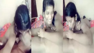 Tamil college girl sexy blowjob clip indian sex video