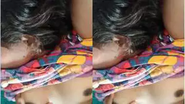 Vf Hindi - Saxy local vf video indian sex videos on Xxxindianporn.org