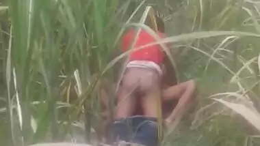 Bihari outdoor sex MMS video captured by a voyeur