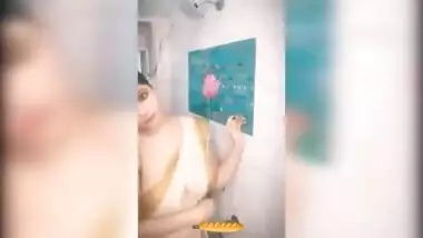 Amazing saree girl