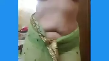 Indian Bhabi Teasing Her Husband In Net Saree