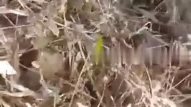 Village girl outdoor MMS fucking video with lover