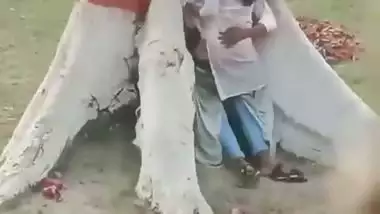 College couple enjoys outdoor sex below a big tree