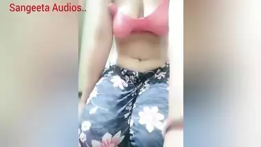 Hot Sangeeta Audio Sex Story In Telugu Listen And Enjoy