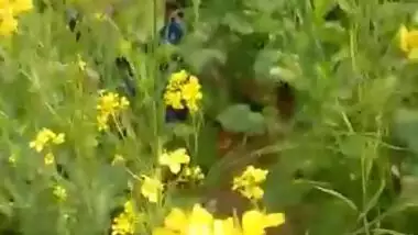 Villlage couple caught Fucking in sarso ka khet