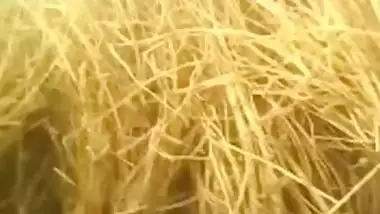 Tamil sex video of a farmer’s son and his girlfriend