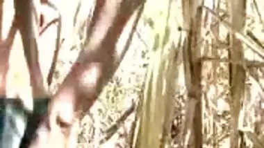 Sugarcane Field Fuck Desi Village Girl 