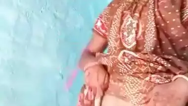 Desi Bhabhi Shows her Ass and Pussy