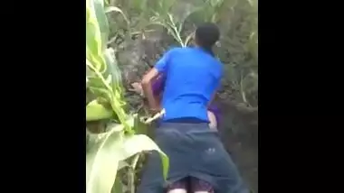 Desi village teen outdoor sex scandal